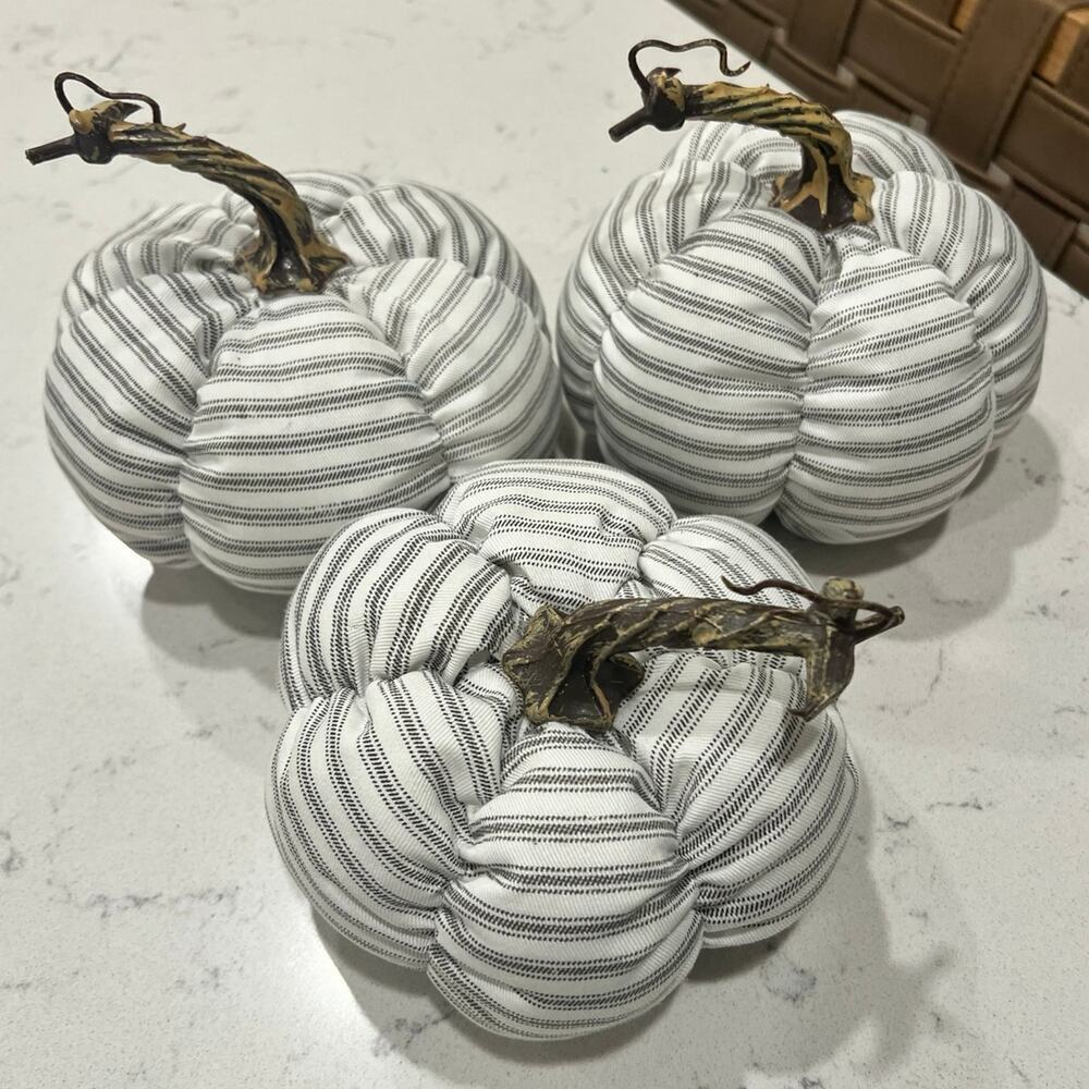 Pumpkin lot